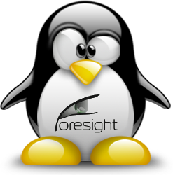penguin pingouin pinguino 942